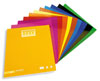 Papel lustro 10 cores 10 fls 24x32 caderno